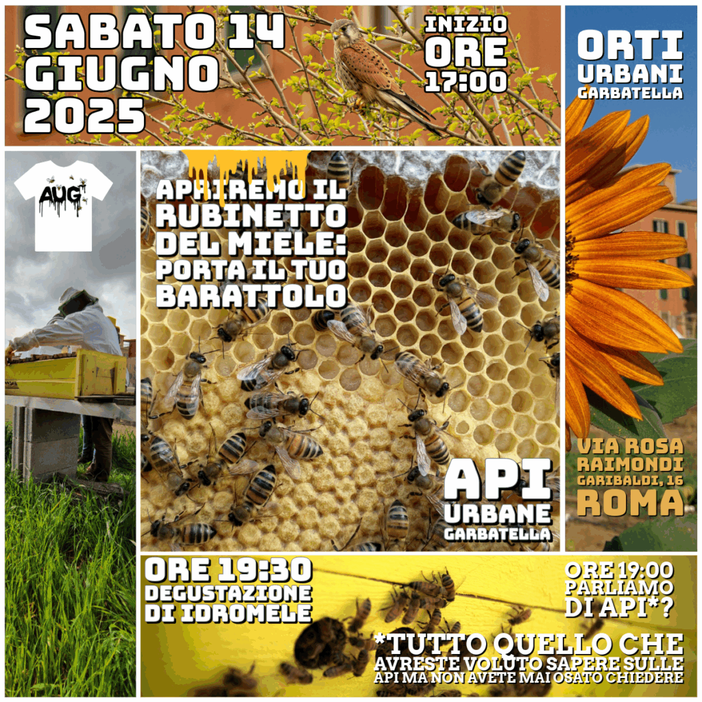 Locandina Festa del Miele 2025